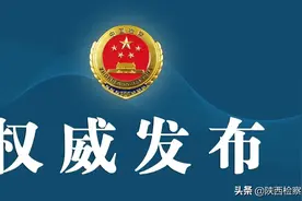 检察机关依法分别对马叶江、权志高提起公诉图片