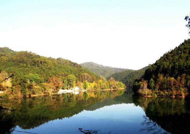 秋风吻尽银杏叶，艳遇醉美帽子峰