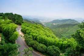 莫干山自驾，必看攻略图片