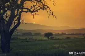 老话说：“男孤定为他乡客，女寡应做异乡妇”，啥意思？图片