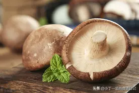 新鲜的香菇与干香菇有什么不同？看完文章你就懂了，别再弄错了图片