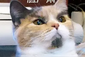 江苏南京：警惕！假扮的微信好友图片