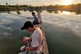新手想玩好“黑坑”，那就先从开好散炮诱鱼开始吧，不会我教你！图片
