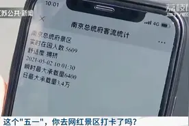 五一长假南京网红景点火爆 总统府高峰期排队一小时图片