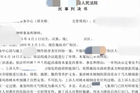 暴风天气出行，男子被大树砸成伤残，状告绿化部门索赔430余万！一张照片揭露真相图片