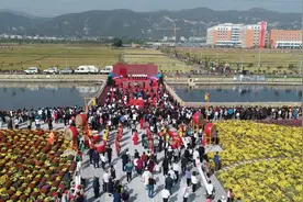 太原主要景区一天接待游客近百万，游客爱逛这些地方……图片