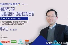 请收藏！关于非洲猪瘟的23个“是是非非”图片