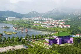 山东有一个土豪村：富裕程度媲美华西村，还有一座“二甲”医院图片