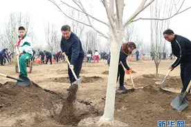 习近平引语：前人栽树，后人乘凉图片