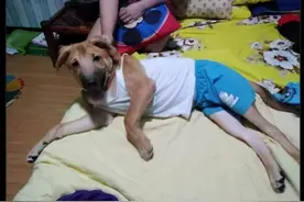 我有个朋友说他怕痒，于是点了进来图片