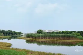 玩遍芜湖水系篇：大阳垾图片