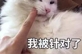 老是过敏竟是因为吃了这些！医生建议：这6种食物尽量少吃图片