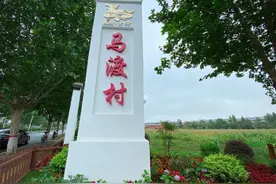 马渡村：黄河岸边的一朵花图片