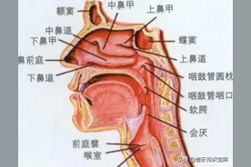 声乐学习中的三阶段，看看你在哪个阶段？图片