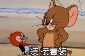 「表情包」一大波猫和老鼠表情包正在来袭图片