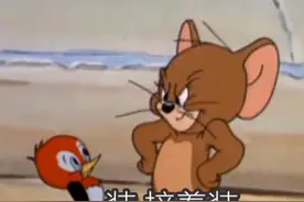「表情包」一大波猫和老鼠表情包正在来袭图片