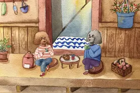 “我放弃了保研的资格，却没考上研……”图片