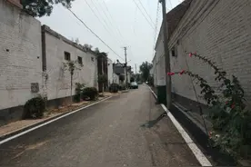 曲周县农村婚嫁彩礼调研报告图片