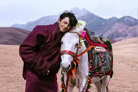 马为什么要钉马蹄，野马为什么不用？图片