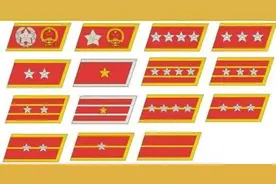 周总理在建国前授过中将加上将军衔 陈云彭真林伯渠等曾是啥军衔图片