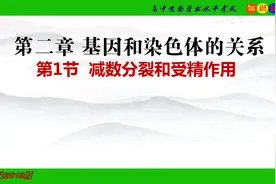 高中生物新教材必修二知识点梳理图片