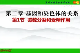 高中生物新教材必修二知识点梳理图片