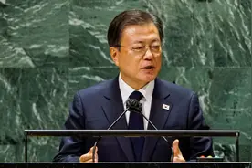 韩国总统文在寅建议禁食狗肉，动物保护协会极力支持图片