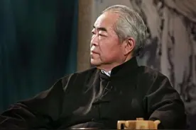 没有骂声就没有范曾图片