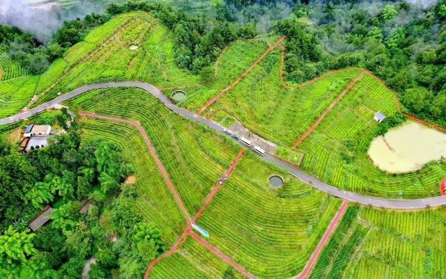 航拍旺苍美丽乡镇，云雾笼罩像是披上了一层轻纱，似仙女下凡