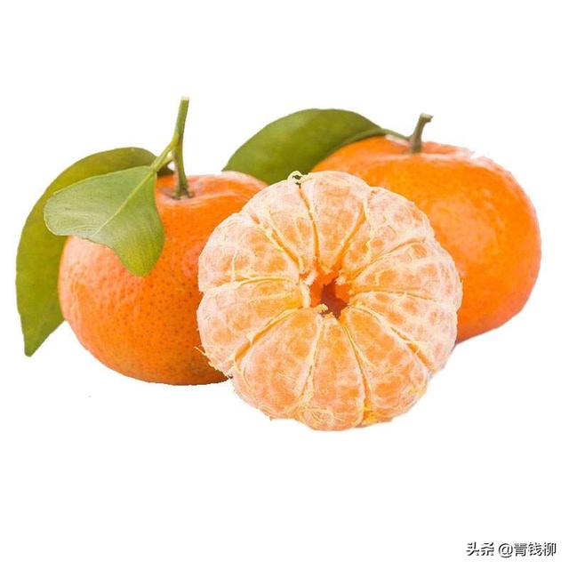 广东信宜砂糖橘无公害优质高产栽培技术