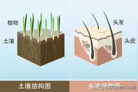 养发馆招商加盟项目火爆，养发产品如何选择？图片