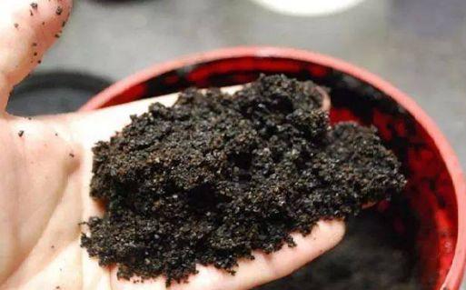 我的世界天启之境鱼鳞剑蓄力