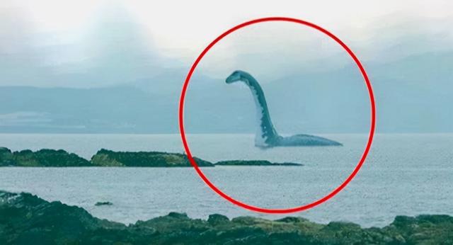 生物,口吐数米高水柱,考察队水底探查真相(世界上最大水怪长什么样子)