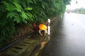 雨后村民冒险上高速捡蜗牛，民警一问原因哭笑不得…图片