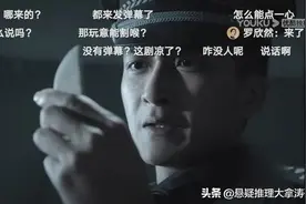 《巡回检察组》5大烂尾：纸刀，徐小枫，大老虎，平城四少三缺一图片