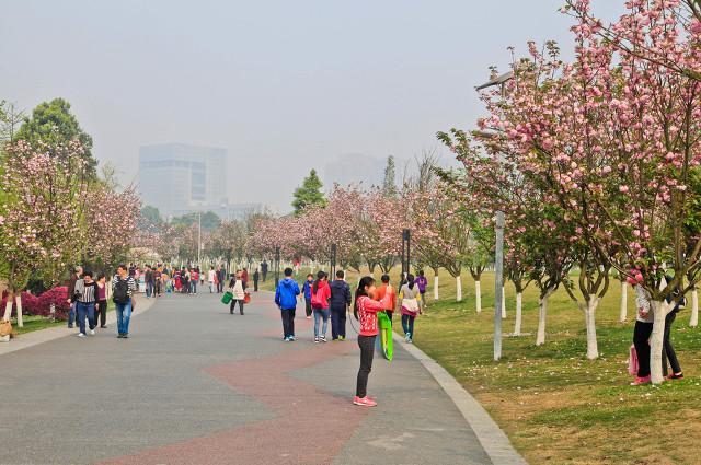 成都这些地区的房子不能买，你听说过吗？看看自己有没有掉坑