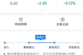 支付宝上买的博时新基金，还没开盘就亏了一点图片