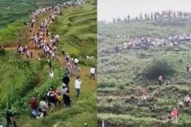 “贵州龙吟”事件的实情，可笑但又欣慰，背后是大自然的“心声”图片