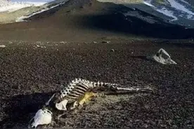 昆仑山的三大传闻，一个比一个离奇都发生在1979年前后，是巧合？图片