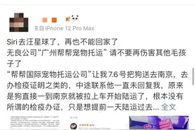 金毛托运途中死亡！女艺人愤怒发声，监管部门介入图片