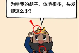 医道西游——雄激素性秃发（1）：锻炼、手淫会加剧脱发吗？图片