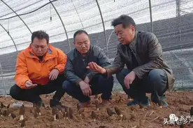 新时代奔涌的创业者们 | 00年代：飞跃传统图片
