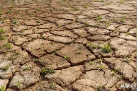 西班牙正受荒漠化威胁，900多万人已受影响图片