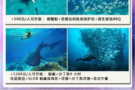 旅游攻略—菲律宾_宿雾岛/薄荷岛图片