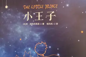 《小王子》：愿你走出半生 归来仍是少年图片