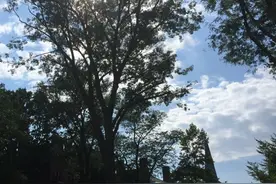 一六年我在美国为女儿当“保姆”平民在美国看病难，超出我的想象图片