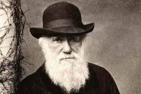 它是4亿年前“绝迹”的鱼种，在1938年被意外发现，过程曲折图片