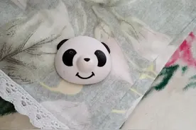 睡觉不老实，被子在被罩了跳舞，缝针固定不管用，试试这招图片