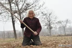 83岁老人跪地锄草，伺候86岁卧床不起丈夫，儿女呢图片