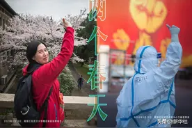 樱下重逢，送你花一朵，感谢你守护这座城图片